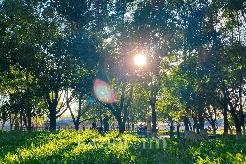 10-13 сентябрь кунлари Қозоғистонда илиқ об-ҳаво кутилади