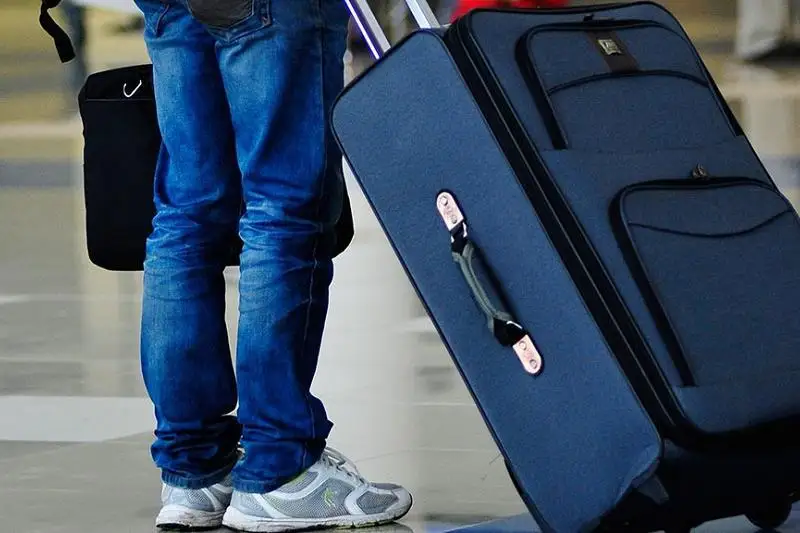 哈中陆空客运交通将于何时恢复？交通委员会主席的解答