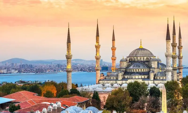 تۇركياداعى قانداس ەم ىزدەگەن قازاققا ءتورىن ۇسىندى
