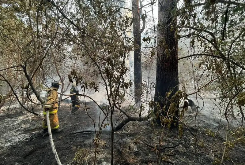 Шарқий Қозоғистон вилоятидаги завод ёнғинда ҳалок бўлган 14 кишининг оилаларига бир миллион тенгедан беради