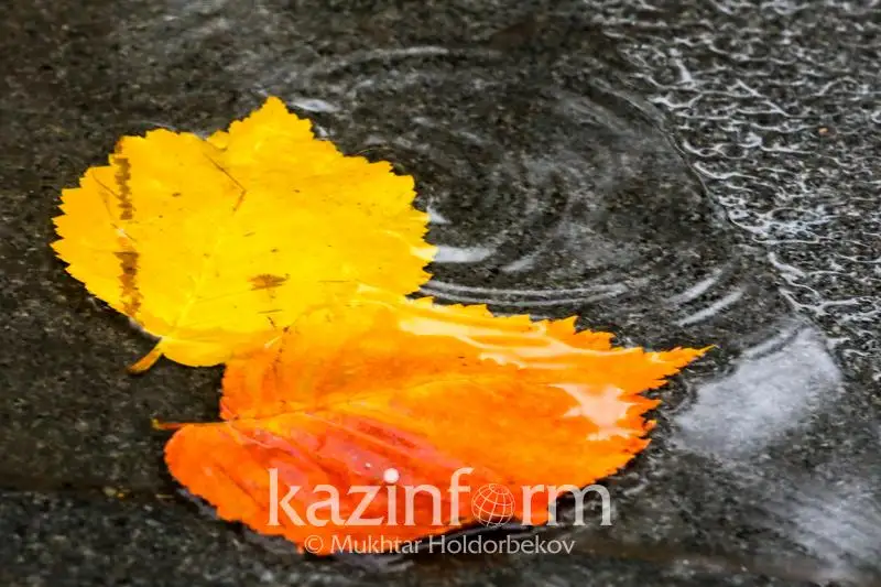 Дожди пройдут на севере Казахстана 9 октября