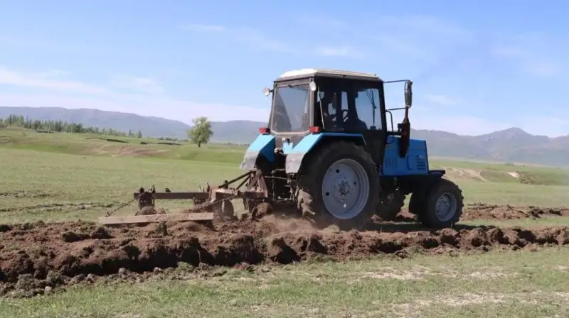 Жамбил вилоятида ўрим-йиғим кампанияси якунланди