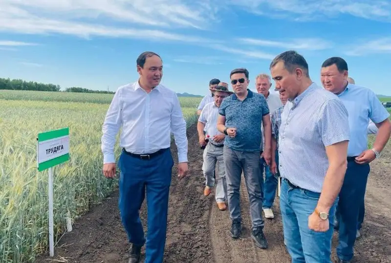 ҚР Қишлоқ хўжалиги вазирлиги субсидиялашнинг янги механизмини ишлаб чиқмоқда