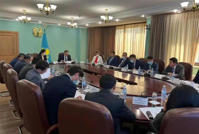 Проект концепции по охране здоровья матери и ребенка на 2023-2025 годы представили в Минздраве РК