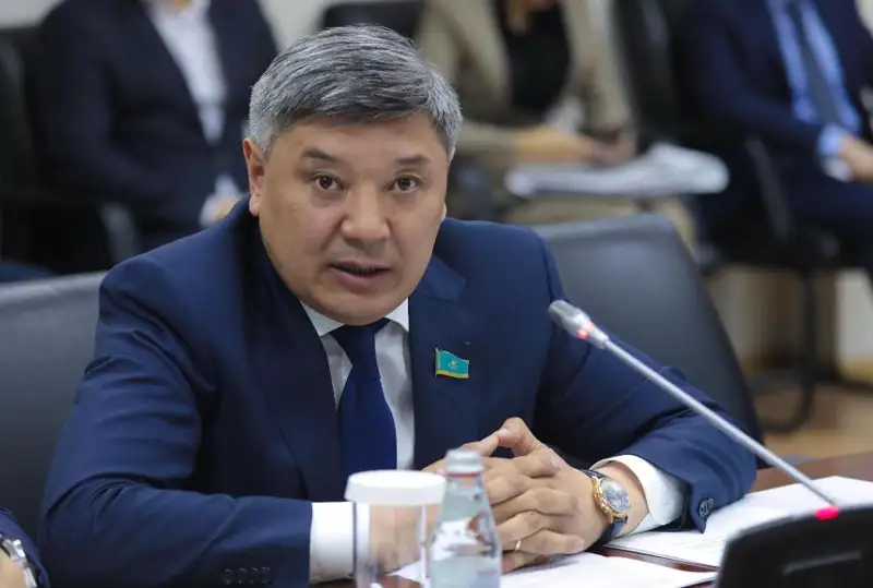 7 жыл – президенттің сайлауалды бағдарламасын мүлтіксіз орындауына жеткілікті уақыт