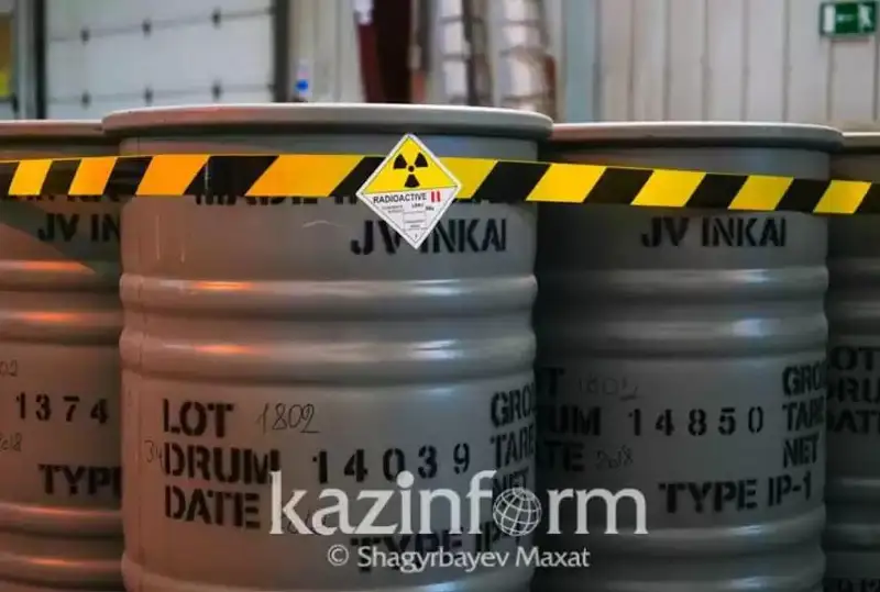 Қозоғистонда АЭС қурилишини техник назорат қилиш учун халқаро ташкилот жалб этилади