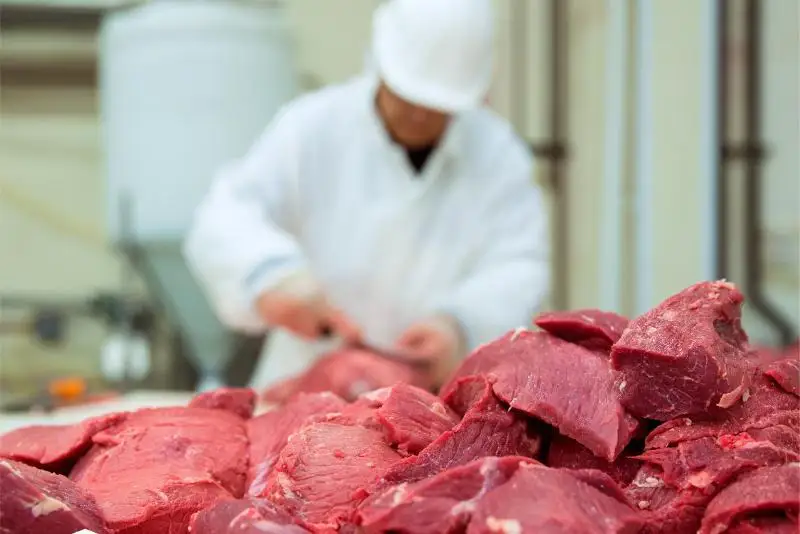 Япония қимматбаҳо деликатес таомларни ишлаб чиқариш учун Қозоғистондан от гўшти сотиб олади