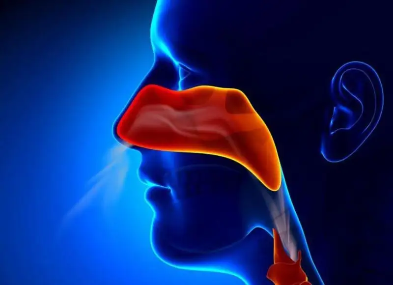 مۇرىن بىتەلگەندە نە ىستەۋ كەرەك؟