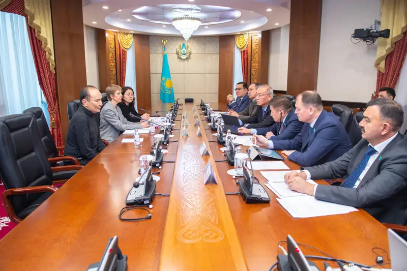 参议院议员会见国际货币基金组织代表