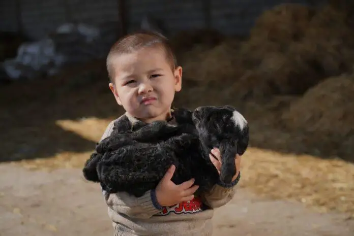 قازاقتا بالانى قىلقىندىراتىن ىرىم بولعانىن بىلەسىز بە؟