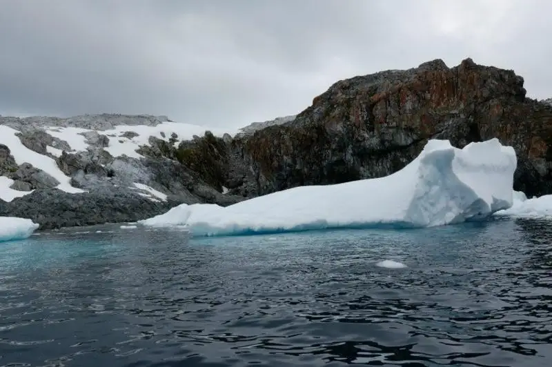 Антарктидада +18 даража янги рекорд ҳарорат қайд этилди