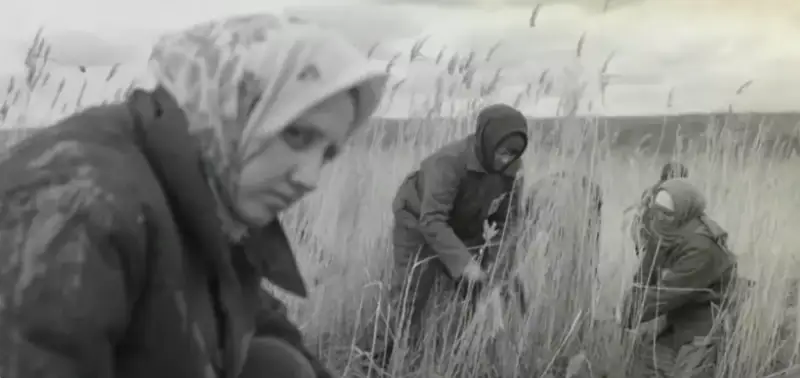الجيردە الاش ارىستارىنىڭ ۇيىندەگى ايداي انالارىمىز ازاپقا سالىنعان