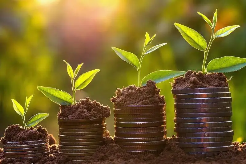 Қозоғистонда қишлоқ хўжалиги ишлаб чиқарувчиларига янги қоидаларга мувофиқ қай тариқа субсидия берилади