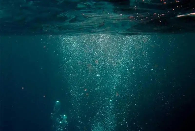 Тунис соҳил қўриқлаш хизмати 29 муҳожирнинг жасадини денгиздан олиб чиқди