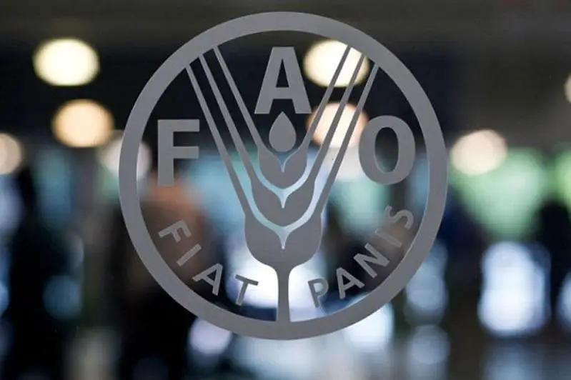 粮农组织：全球食品价格连续第十个月上涨