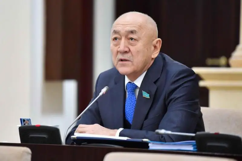 Провести анализ системы аутсорсинга в Вооруженных силах РК призывает сенатор