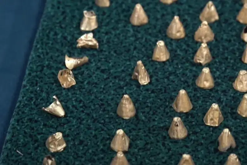 Золотую упряжь коня сакского царя нашли в ВКО