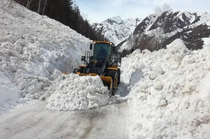 شىعىس قازاقستاندا تاعى دا قار كوشكىنى ءجۇردى