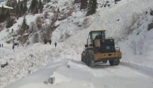 الاتاۋدا قار كوشۋى مۇمكىن