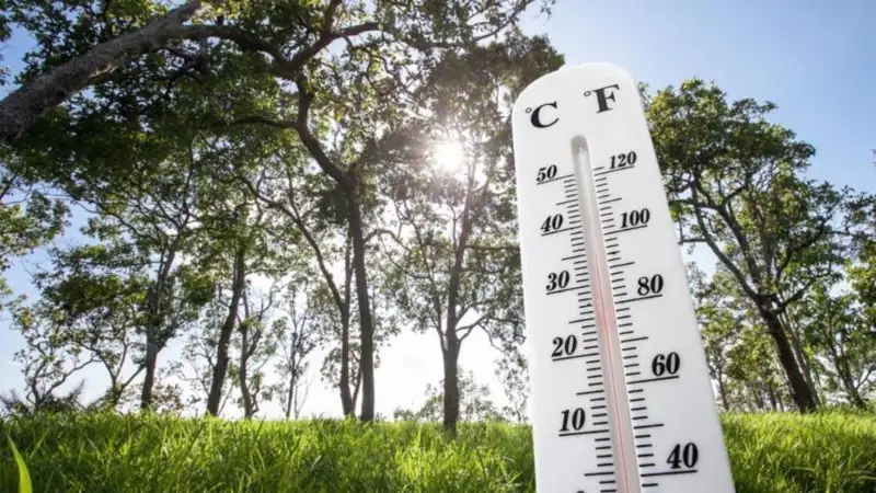 الداعى كۇندەرى 30 گرادۋس ىستىق اۋا رايى بولادى