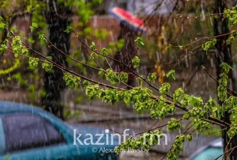 شاڭدى داۋىل، جەل، جاڭبىر - جەكسەنبىگە ارنالعان اۋا رايى بولجامى