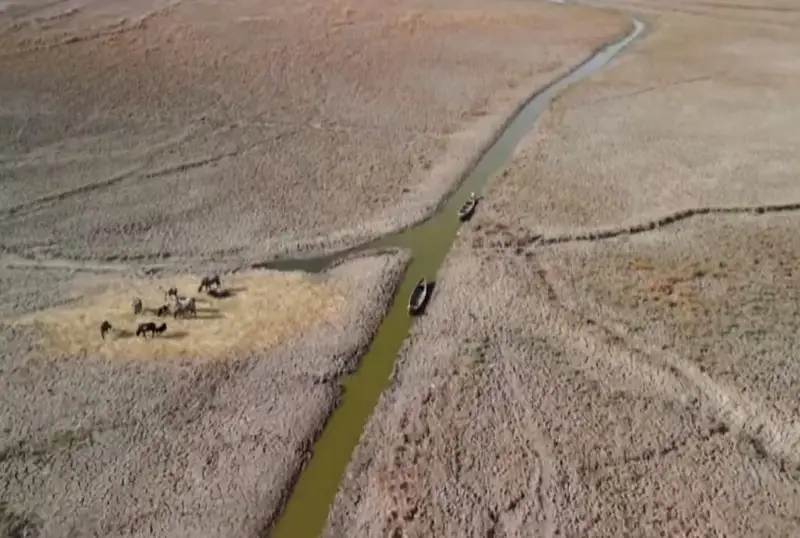 Қурғоқчилик туфайли Месопотамия ботқоғи йўқолиб бормоқда