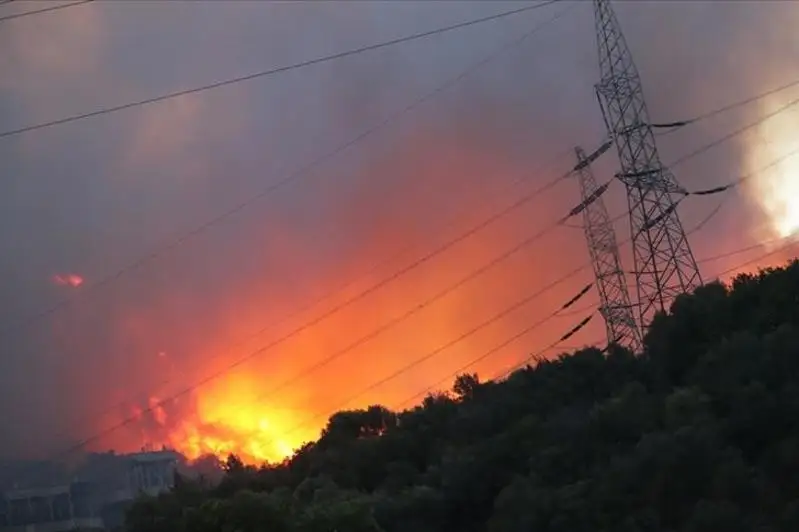 Туркиядаги ўрмон ёнғинлари: Ёнғин Кемеркўй ИЭСига яқинлашди