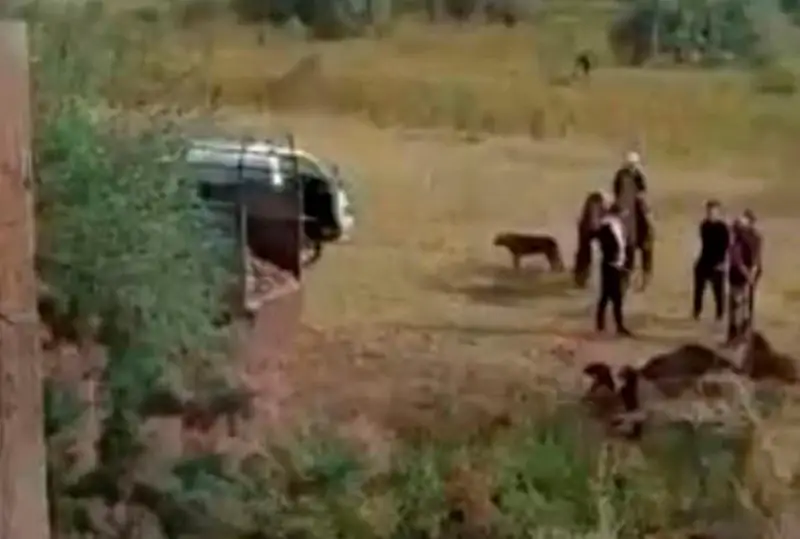 الماتى وبلىسىندا جۇك پويىزى 123 قويدى باسىپ كەتتى