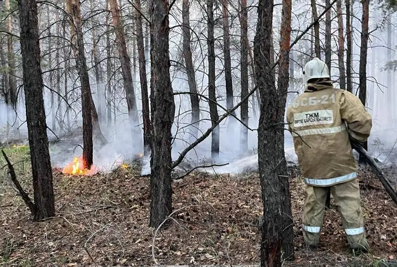 Туркия ва Ўзбекистон Абай вилоятидаги ёнғинни ўчиришда ёрдам таклиф қилди