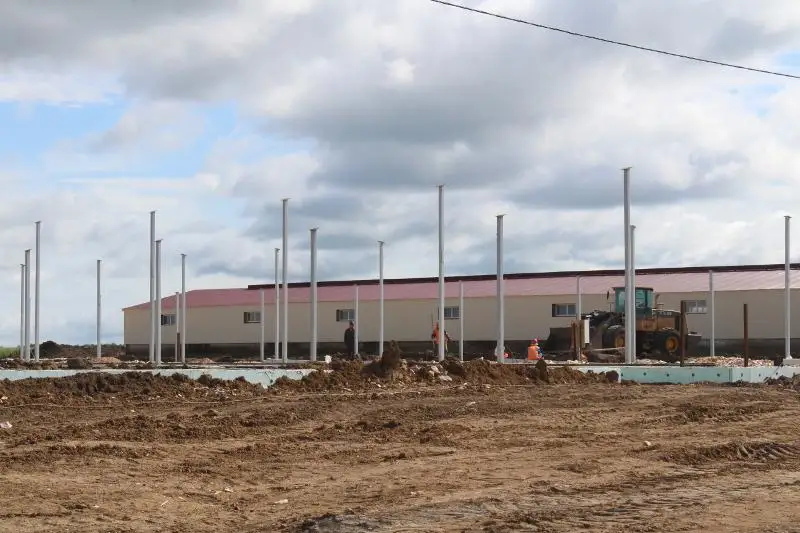 英国投资者拟在哈萨克斯坦建设现代奶牛场