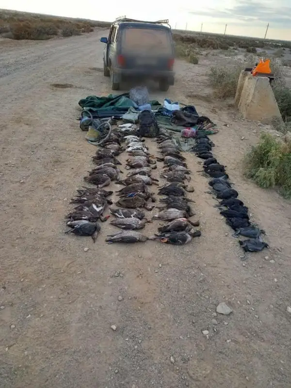 قىزىلوردادا ءۇش كۇندە تابيعات قورعاۋ زاڭناماسىن بۇزعان 19 دەرەك انىقتالدى