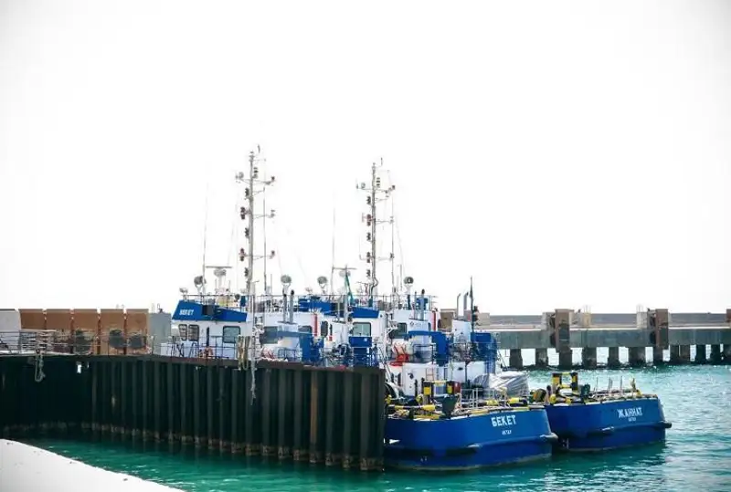 Необходимо довести отгрузку нефти через Актау и Курык до 20 млн тонн - Президент