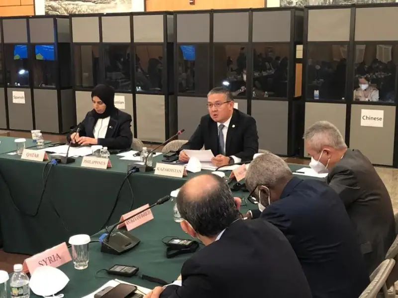 副外长出席“全球发展倡议之友小组”部长级会议
