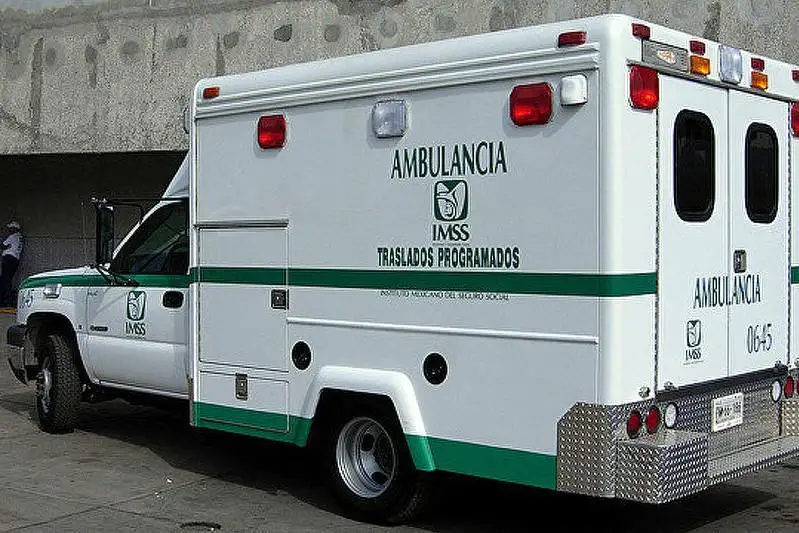 Мексикада дафн маросими вақтида уюштирилган ҳужумда 10 дан ортиқ одам ҳалок бўлди