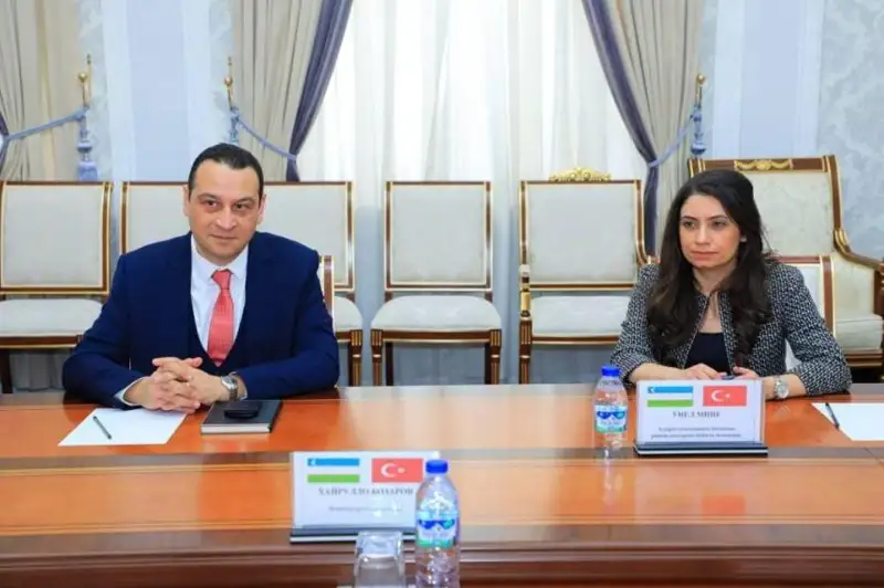 Туркия компанияси Ўзбекистонда қуёш фотоэлектр станцияси қуради