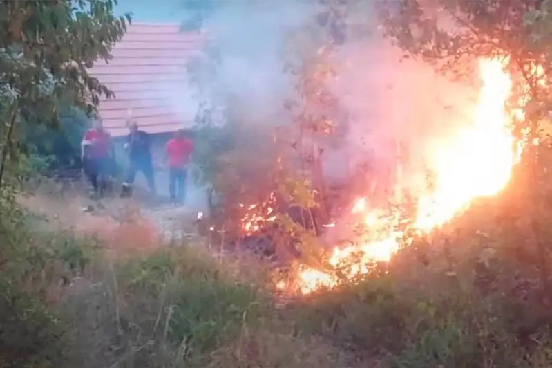 Алжир, Греция, Италия ва Черногорияда ўрмон ёнғинлари давом этмоқда