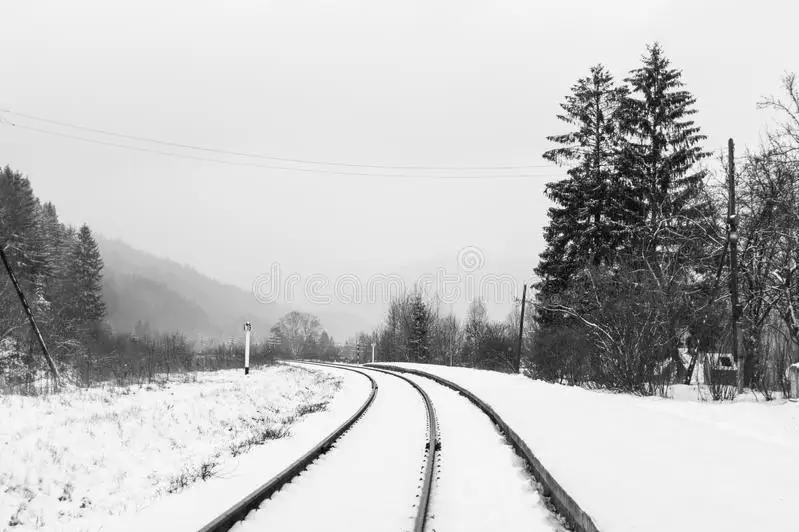 Қирғизистонда поезднинг 8та вагони йўлдан чиқиб кетди