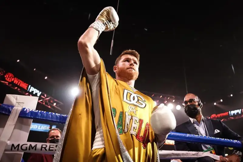 «Канело» Головкин билан учта жангдан қанча даромад олади