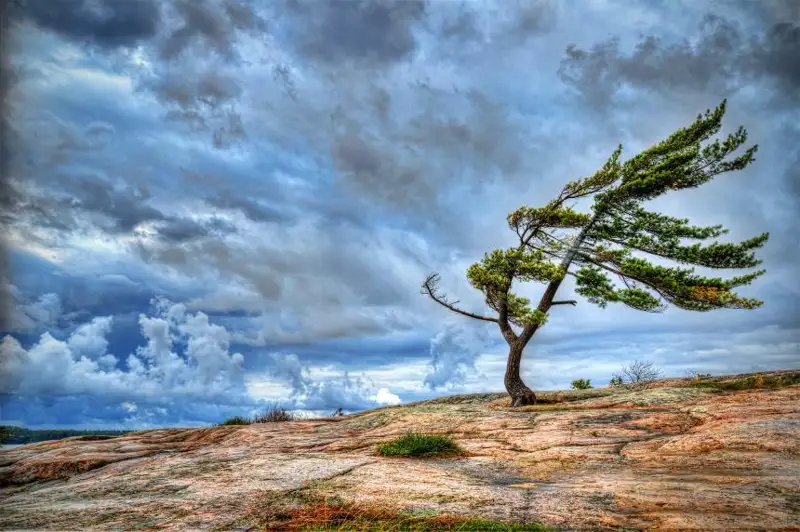 كۇلەمىز بە، قايتەمىز؟