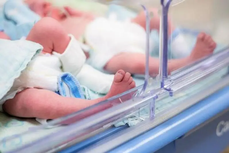 Кореяда 34 йил ичида биринчи марта 30 ёшли она бирданига беш нафар фарзандни дунёга келтирди