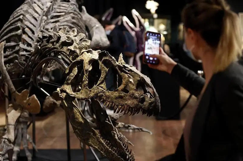 Динозавр скелети 3 миллион еврога сотилди