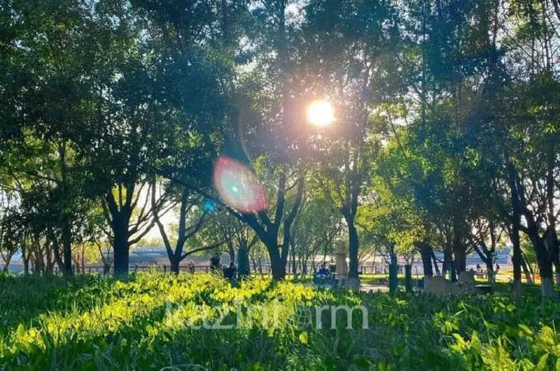 Қозоғистонда 40°C гача иссиқ бўлади