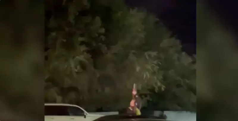 جامبىل وبلىسىندا اۋەگە وق اتقان ادامنىڭ كىم ەكەنى انىقتالدى