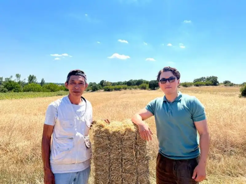 تۇركيادا قوي بورداقىلاپ، ەگىن ەگۋمەن اينالىساتىن قانداسىمىز تۋرالى نە بىلەمىز