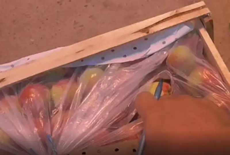 Ўзбекистондан 5,5 миллион тенгелик шафтолини ноқонуний олиб киришга уринишнинг олди олинди