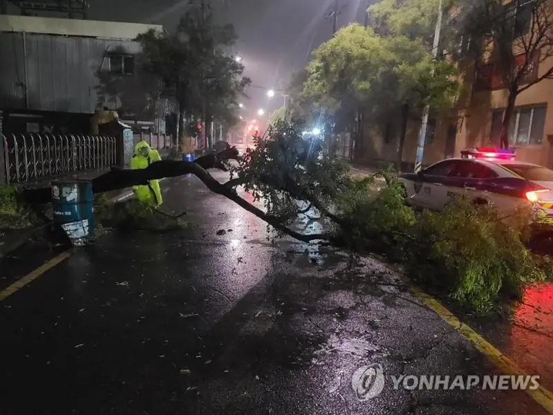 台风“轩岚诺”登陆韩国南部沿海多地受灾