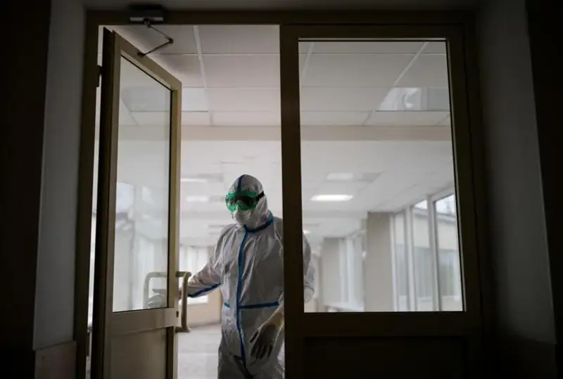 Россиянинг 74 та ҳудудида чўчқа гриппи аниқланган