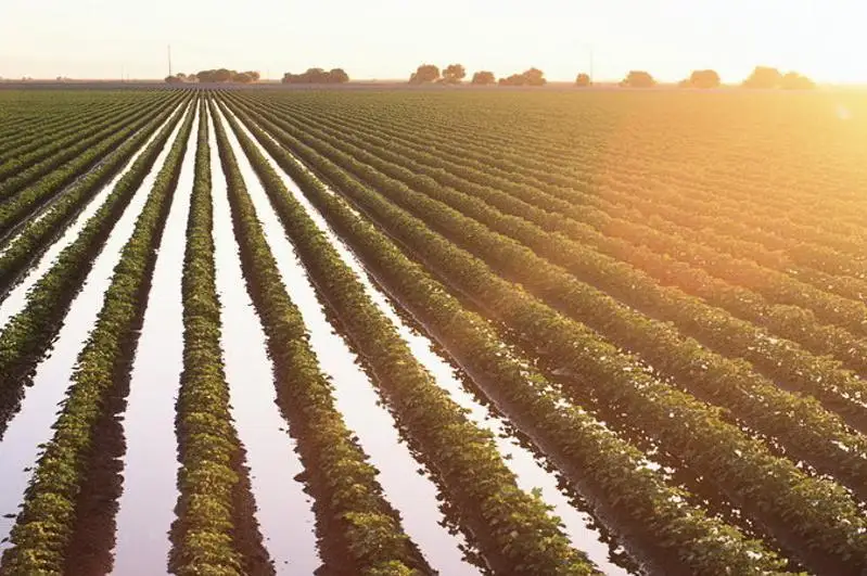 Ўзбекистонда ерга оид қонунчиликни бузганлар 10 йилгача қамалиши мумкин