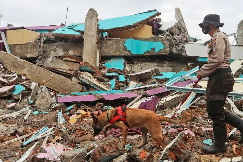 Индонезиядаги зилзила қурбонлари сони 80 кишига етди