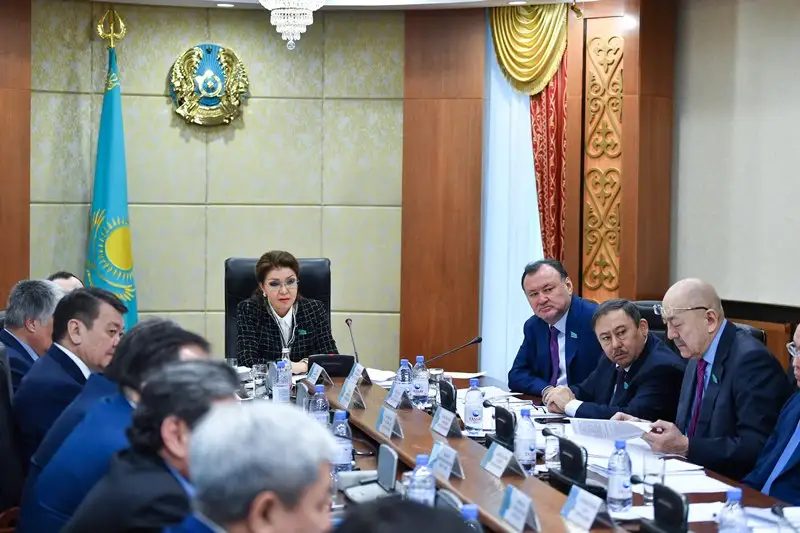 达丽哈•纳扎尔巴耶娃：电力行业的失误会造成每个家庭的损失